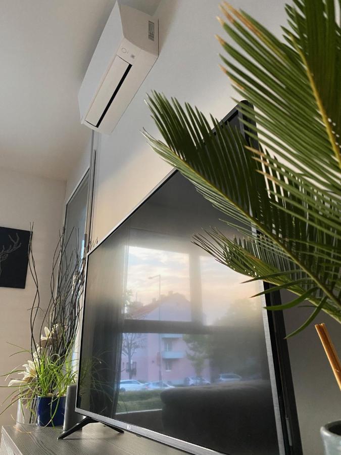 Brand New Apartment, Location-near Vic/danube Apartment Wien