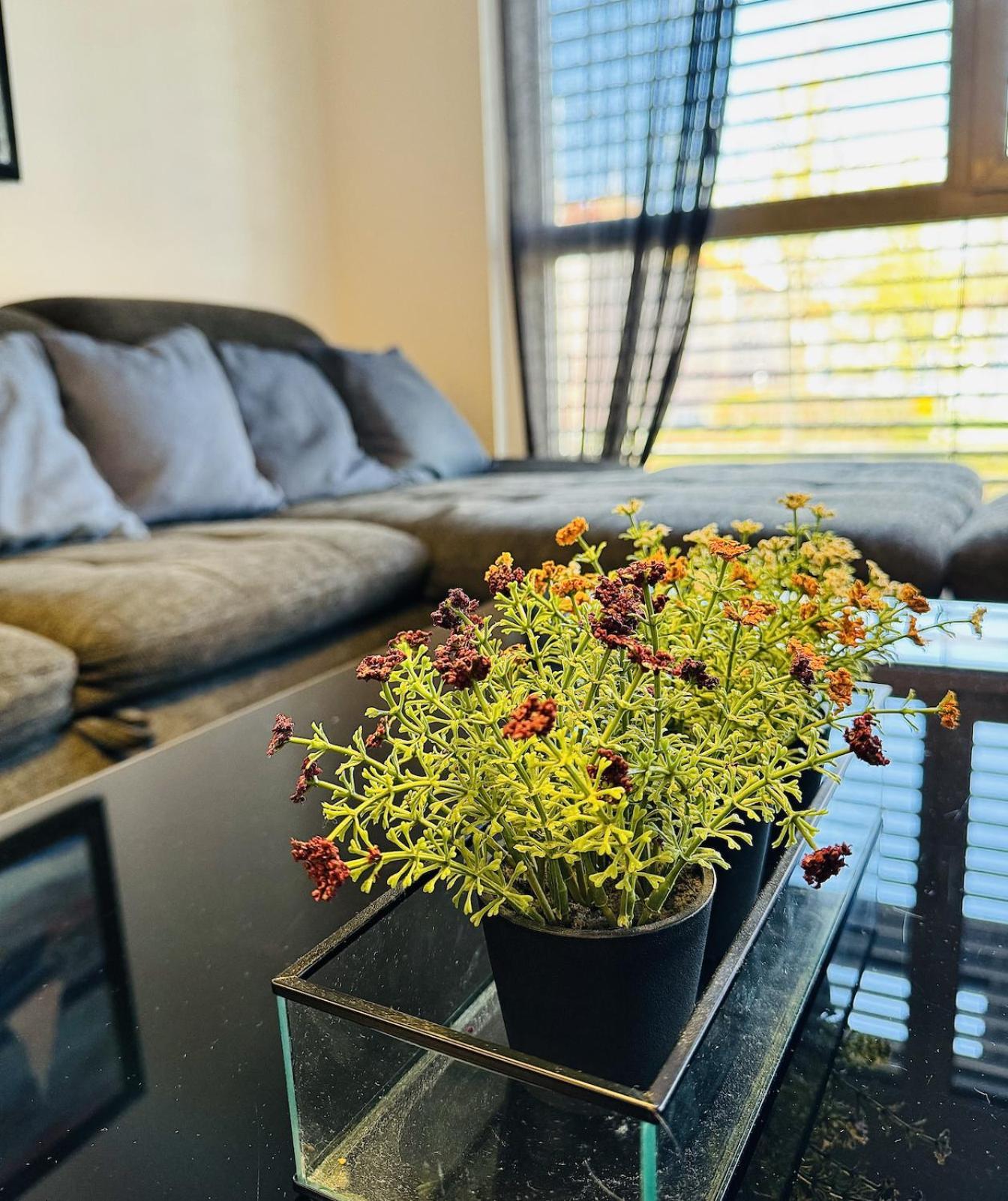 Brand New Apartment, Location-near Vic/danube * Wien